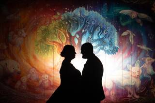 Disney Fine Art Photography & Videography - 5