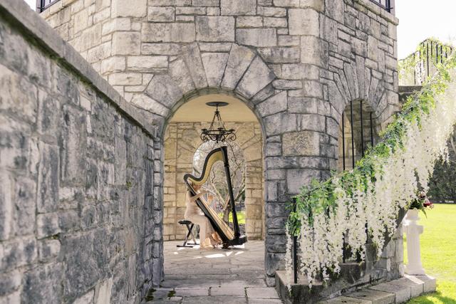 Professional Harpist - 4
