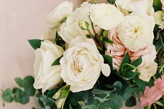 Java Rose Photography - 14