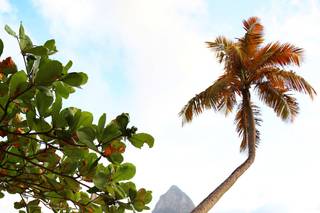 Awesome Caribbean Weddings - 140