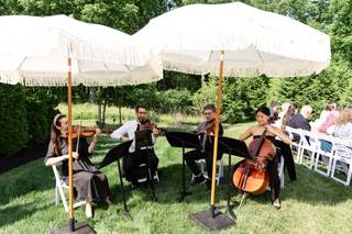 The Delmonico String Quartet - 6