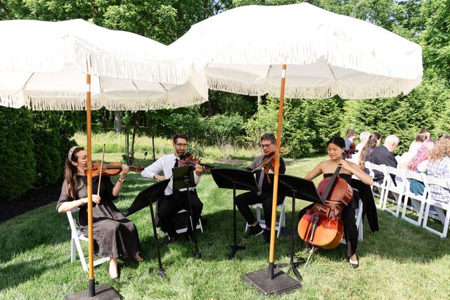 The Delmonico String Quartet - 1