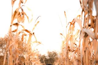 Alina Phillips Photography - 5