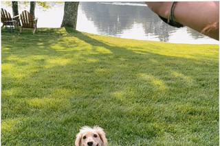 Happy Bark & Tails - 16