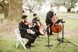 Marvelous Strings - 14