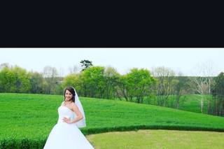 Dream Haven Photography LLC - 39