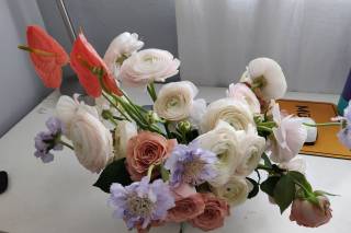 Phlox Tale Studio - 36