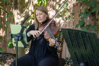 Eliana Strings - 15
