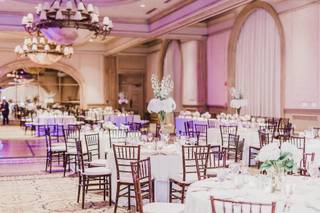 Cole Dewey Designs - 22