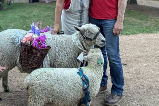 Wooly Green Grazers, LLC - 10