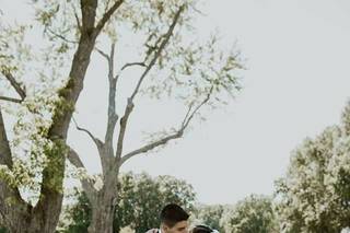 Devolve Imaging Photography - 62