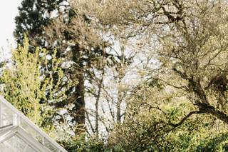 Allison Lauryn Photography - 77