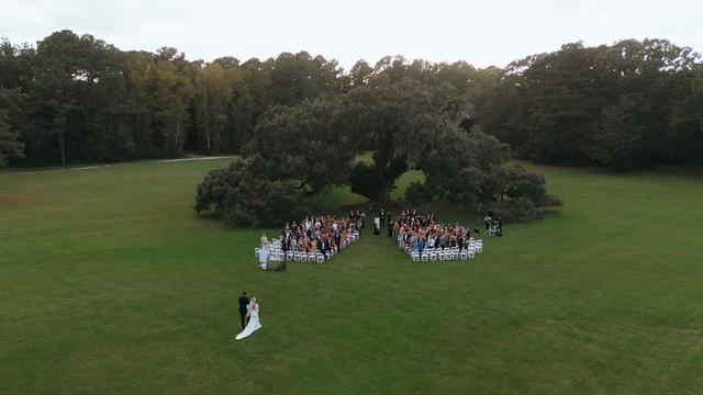 Absolute Wedding Perfection - 4