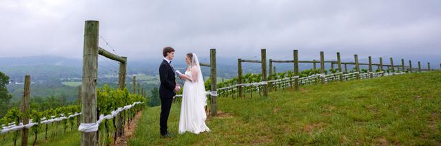 Aaron Watson Photography - 3