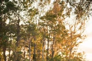 The Bridal Studio of Tampa Bay - 33