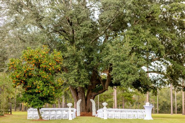 Brittany Morgan Photography - 4
