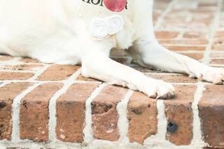 Magnolia Photography - 33