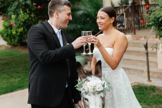 Haul N Ass Productions - 48