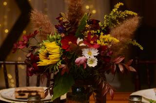 Kristine Cutillo Photography - 8