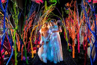 Talitha Tarro Photography - 6