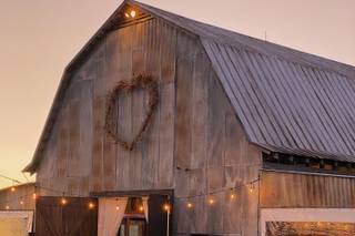 Starlight Meadow - 21