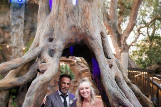 The Shape of Water Weddings and Events - 1