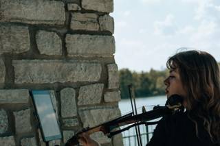 Elegant Violin - 6