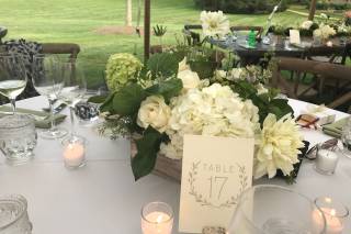 WNC Weddings & Events - 39