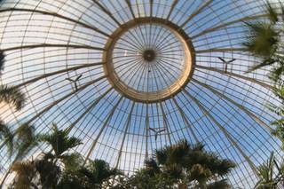Buffalo and Erie County Botanical Gardens - 18