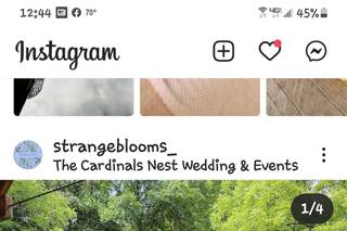 The Cardinal's Nest - 13