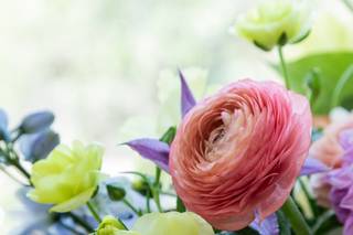 Lavanda & Eucalypto Designs - 9