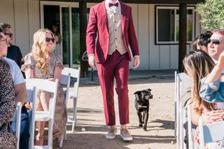 Dean MacKay Photography - 7