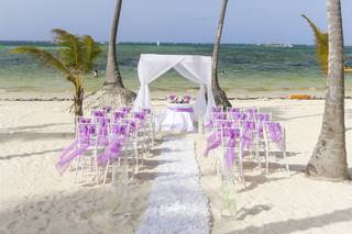 Tropical Pictures - 82