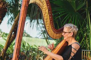 The Elegant Harp - 24