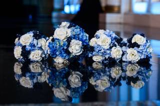 Brian Marsh Photography - 66