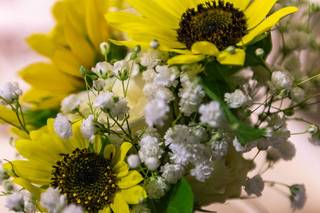 PROMISE Weddings, Officiants, Minister - 6