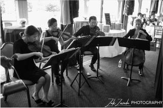 AVIVA Strings - 4