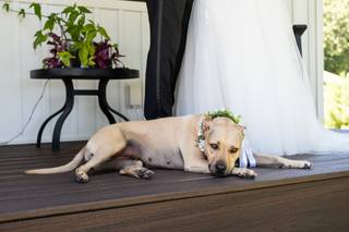 Kirchhof Photography LLC - 13