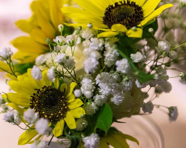 PROMISE Weddings, Officiants, Minister - 3