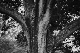 Rebecca Rizzo Photographics - 29