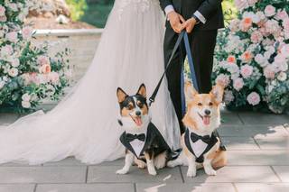 Klaar Photography - 11