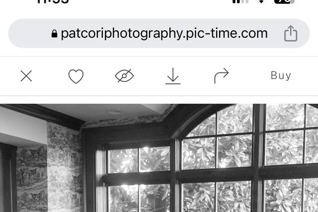 Pat Cori Photography 1