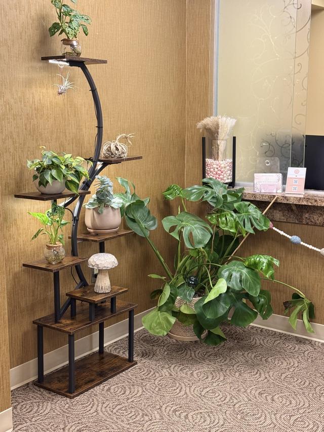 MI Prime Health - 2