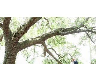 Elope Charleston SC - 5