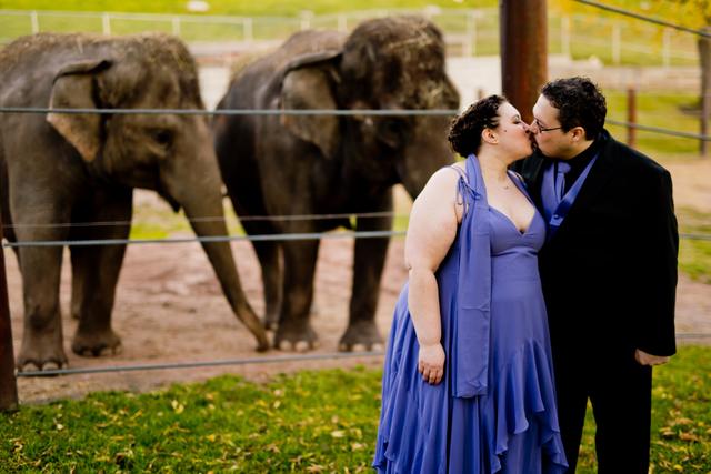 Rosamond Gifford Zoo - 4