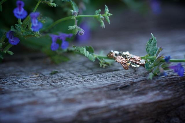 Lena Stein Photography - 3
