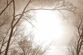 Creatively Captured Photography - 16