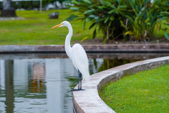 Pro-Vision Digital Production - 1