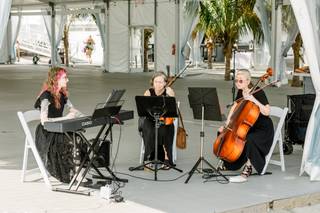 Cello Plus NJ - 7