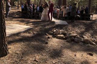 Into The Woods LLC - 37